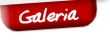 Galeria zdj��